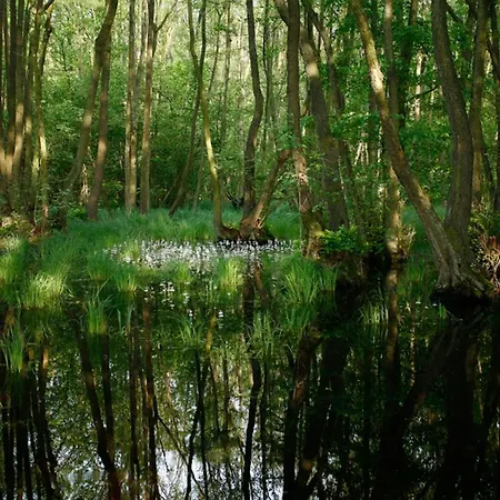 Gartenweg Ferienhaus Dom wakacyjny *